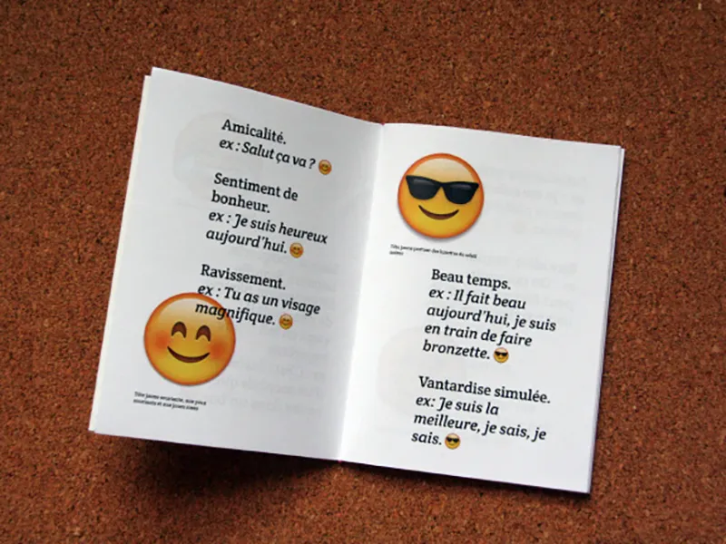 Double page du lexique sur les emojis : à droite les différentes significations d'un emoji souriant et à gauche, celles de l'emoji portant des lunettes de soleil.