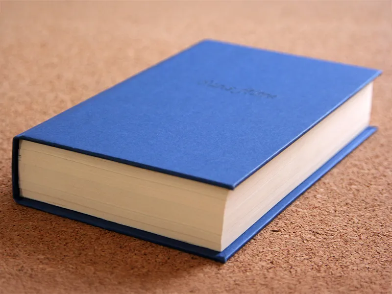 Vue d'ensemble du livre Sans filtre. Il est très épais, la couverture est bleu roi et rigide.