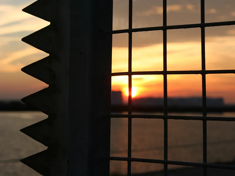En arrière-plan, le soleil se couche, la lumière est dorée, très orangée. Au premier plan, un grillage quadrille le paysage lumineux et flou de lignes noires.